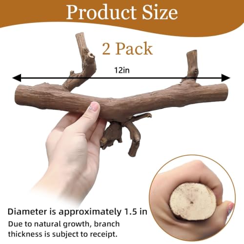 2PCS Snake Climbing Branch (Unpolished Reptile Climbing Wood)