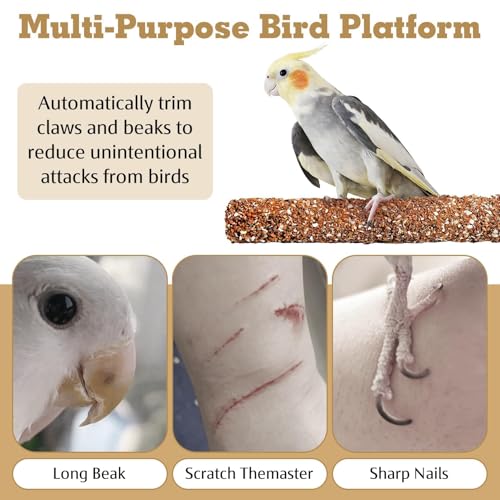 2 PCS Natural Bird Perches Calcium Mineral Parakeet Chewing Toy Sticks Parrot Beak Grinding Stone Cage Accessories for Small Medium Budgie Cockatiel Conure Lovebird (Colorful / 2 PCS)