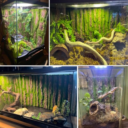 Reptile Terrarium Cork Background