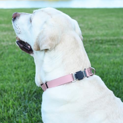 Biothane Waterproof Dog Collar with Herm Sprenger Black Stainless Steel Quick Release Buckle (W 1" x L 15"-25" / Pastel Purple)