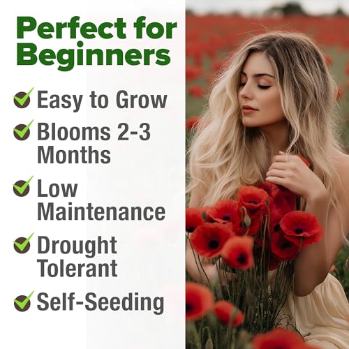 American Legion Red Poppy Seeds