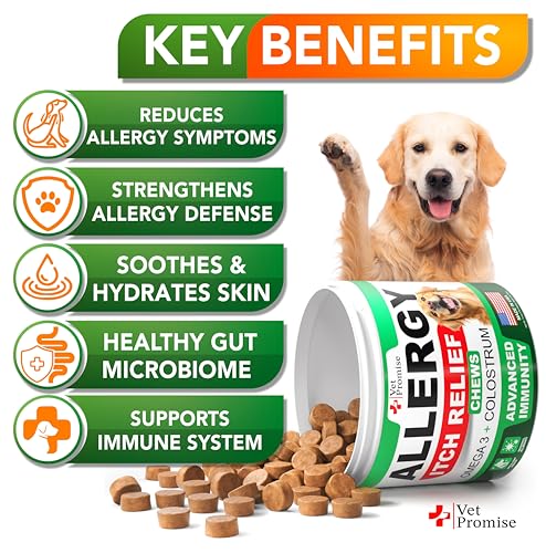 Dog Allergy Relief Chews for Itchy Skin and Seasonal Itch Support