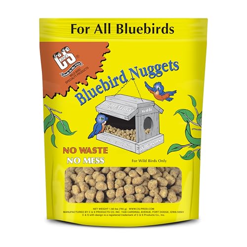 Berry Flavor Suet Nuggets (1.69 Pound (Pack of 1))