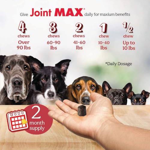 TS Joint Supplement Vet Formulated Pain & Inflammation Relief Treats Hip Dysplasia & Arthritis (120 Soft Chews)