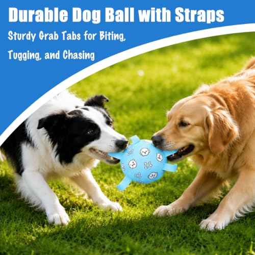 Dog Soccer Ball with Straps (Pale Blue / Medium-6 Inch)