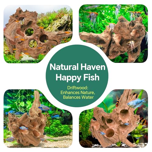 Driftwood for Aquarium Natural Aquarium Wood for Aquascaping Fish Tank Decorations Reptile Tank Decor (11''-15")