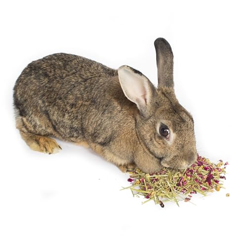 Herbal Calming Forage