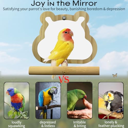 Wooden Bird Mirror with Perch for Cage (wood)