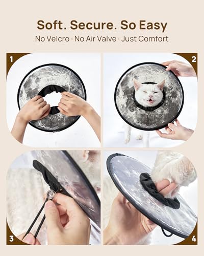 Soft Cat Cone Collar (Silent Moonlight / S)