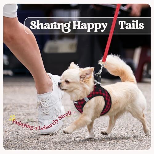 Dog Harness Medium Sized and Leash Set (Red Check / L (chest: 18.2 - 20.5"))