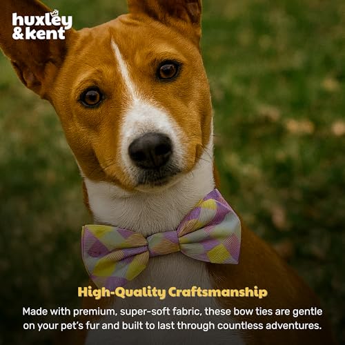 Pet Bow Tie for Dogs & Cats (Small)