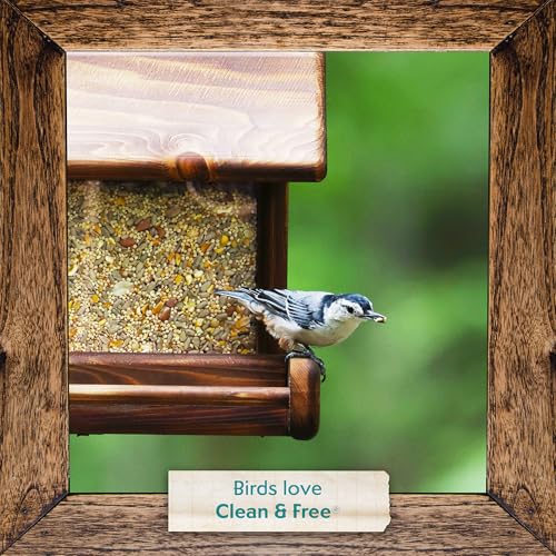 Clean & Free No Mess Wild Bird Seed (12 Pounds (No Mess))