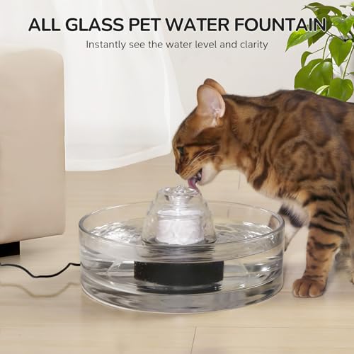 Transparent Glass Cat Water Fountain Cover