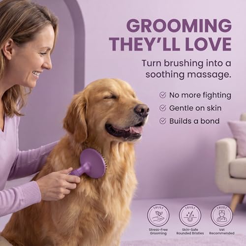 Round Bristle Pet Brush for Dogs and Cats (Purple)