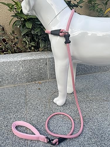 Slip Lead Dog Leash (1/2"×6ft / Pink)