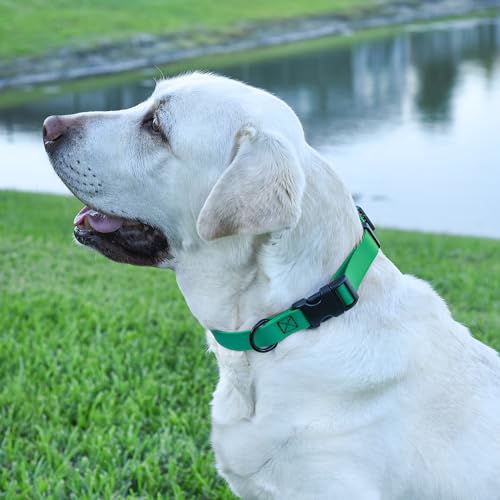 Biothane Waterproof Dog Collar with Quick Release Buckle Strong Coated Nylon Webbing with Odor (5/8"W by 10-14"L / Teal)