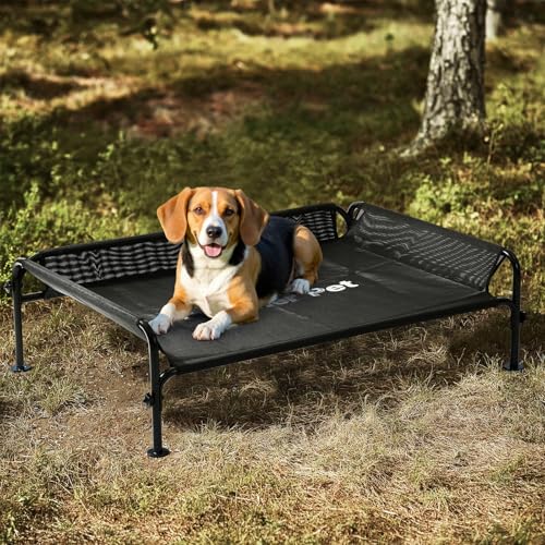 Elevated Dog Bed for Medium Size Dog (Black / Medium)