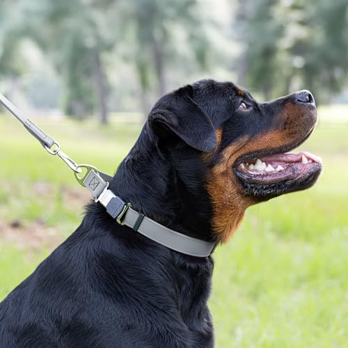 Biothane Waterproof Dog Collar with Herm Sprenger Black Stainless Steel Quick Release Buckle (W 1" x L 15"-25" / Battleship Gray)