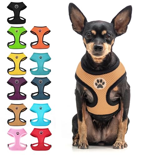 Small Dog Harness (XS (NECK: 10", CHEST: 10"-14") / Beige)