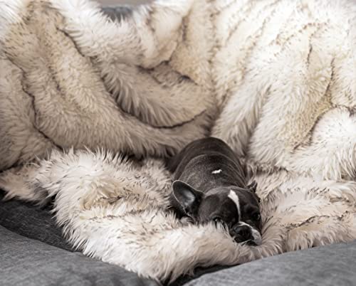 PupProtector Waterproof Throw Blanket for Dogs and Cats (White With Brown Accents / Large (80" L x 62" W))