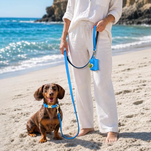 Soft Padded Dog Collar for Small Dogs (Blue / S：Fit 10-15" Neck, Width ⅝")