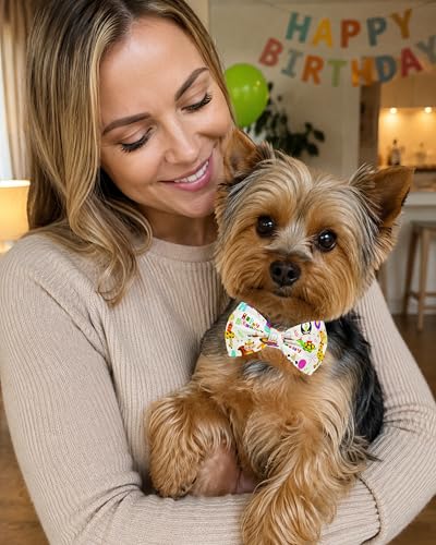 10 Pack Holiday Dog Bowties for Small Dogs Sliding on Collar (S/M)