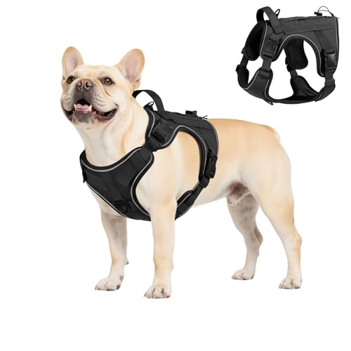Heavy Duty Tactical Dog Harness for Small Dogs (Black / S (Chest: 19.6-31.5", Neck: 11-19.6"))