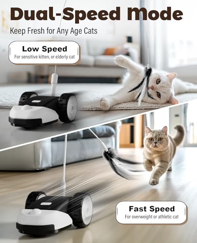 3-in-1 Interactive Cat Toy - 2-Speed Automatic Moving Mouse Cat Toys Self Play with 2pcs Hanging Feather String Ribbon and Wiggly Silicone Mice Tail for Bored Indoor Adult Cats Kittens (Black)