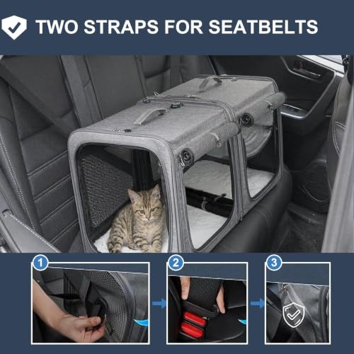 Extra Large Cat Carrier for 2 Cats with Travel Litter Box (Black)