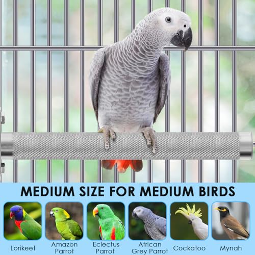 Bird Perch Stainless Steel (M: 9.8 x 1 inch)