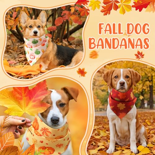 50 Pcs Fall Dog Bandanas Bulk (Fall Pumpkins / 25.6 x 17.7 x 17.7")