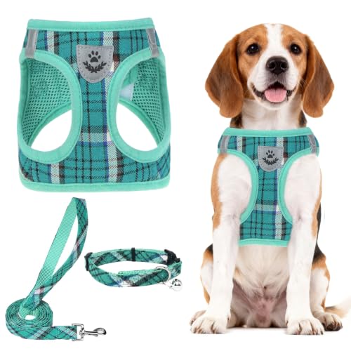Dog Harness Collar and Leash Set No Pull for Small Medium Sized (Lake Green / XL (CHEST 20"-22"))