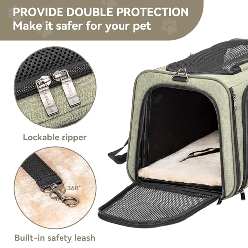 Large Double Expandable Cat Carrier for Large Cats and Small Dogs (19.0"L x 12.0"W x 12.0"H / Green)