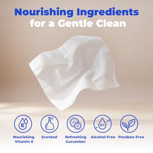 Cleaning Dog Wipes (Refreshing Cucumber / 100 Count)