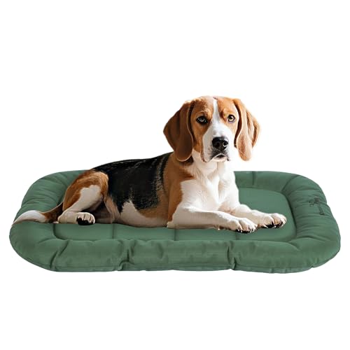 Durable Dog Bed Tough and Tear Proof Dog Crate Bed with Heavy (Green / M(30"x21"x3"))