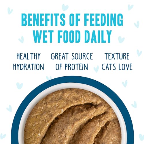 B.F.F. Play Best Feline Friend Paté Lovers (3 Ounce (Pack of 12))