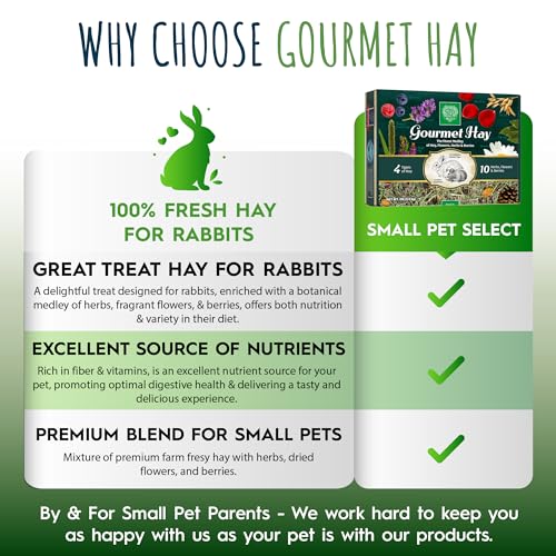Gourmet Hay Treat