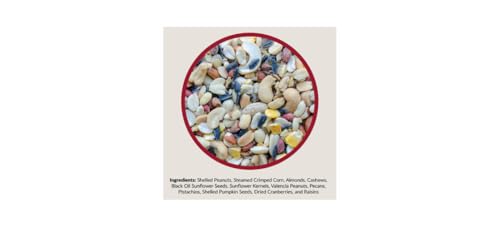Fruit and Nut Wild Bird Seed for Outside Feeders (5 Pound (Pack of 1))