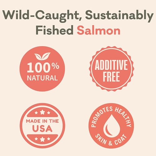 Crunchy Alaskan Salmon Chips
