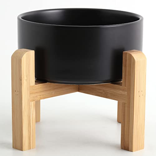 Black Elevated (Black / 1.7 Cups - Small)