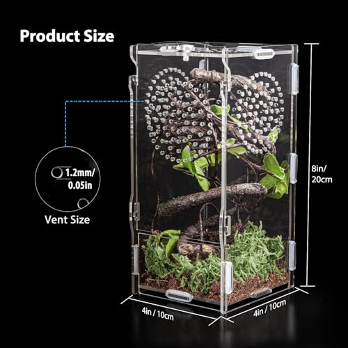 Jumping Spider Enclosure (Small-8''x4''x4'')