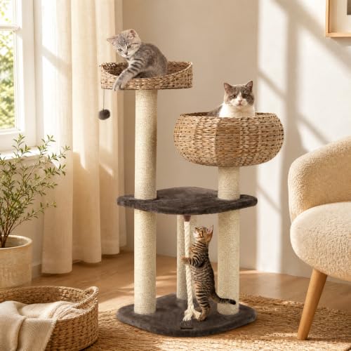 41 Inch Modern Cat Tree for Indoor Cats (41 inches / Coffee)