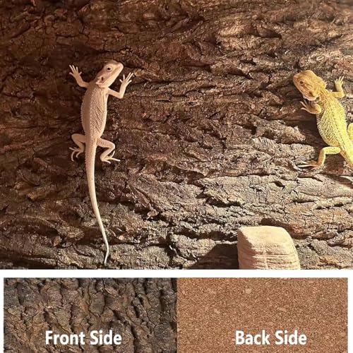 2PCS 11.8"x7.8" Natural Thickened Reptile Cork Bark Terrarium Background (2PCS - S：11.8" x 7.8")