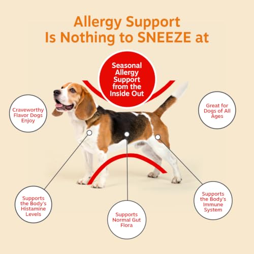 Dog Allergy Chews (250 Count (Pack of 1) - Standard)