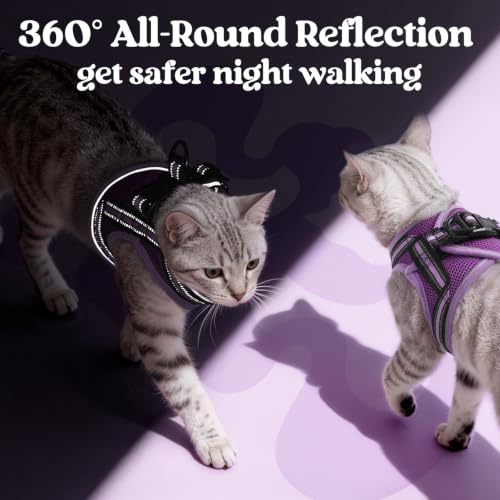 Cat Harness and Leash Set (S / Purple-Light Purple)
