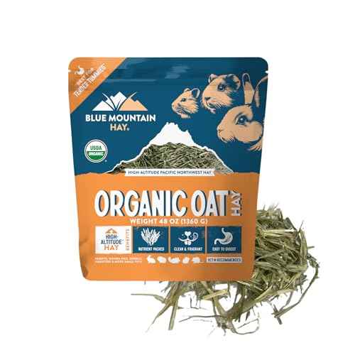 Organic Oat Hay for Small Pets (3 Pound (Pack of 1))