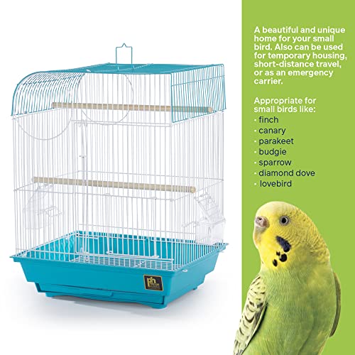 South Beach Flat Top Bird Cage Minimal Assembly (Teal / 10.6"L x 0.5"W x 18.0"H)