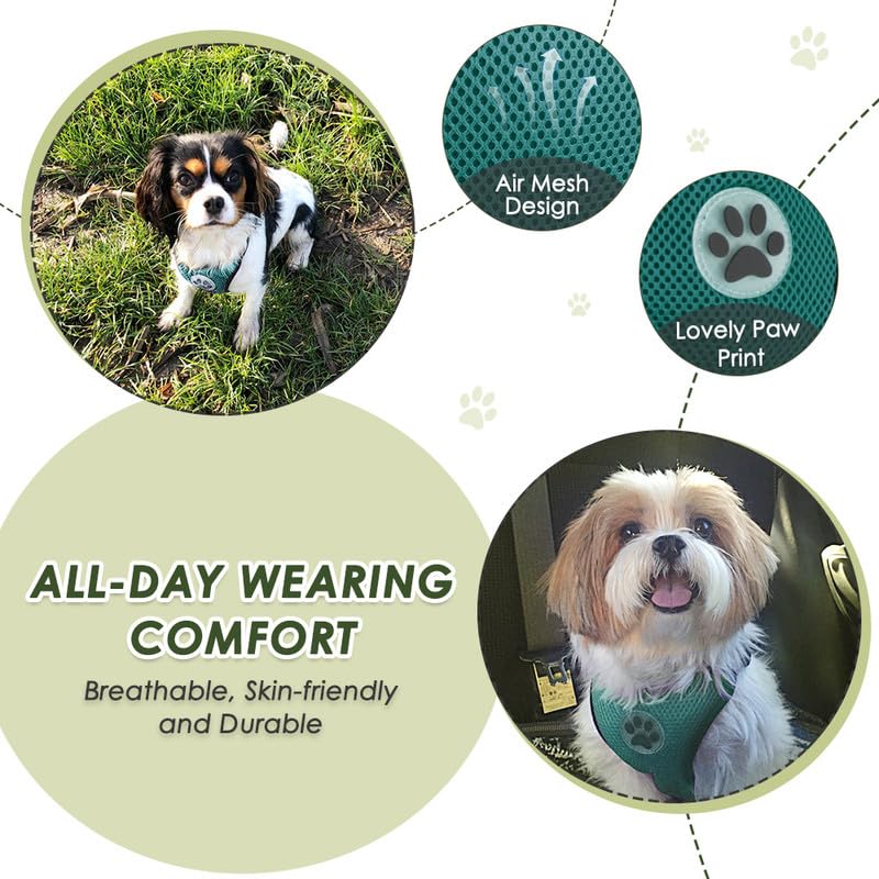 Dog Seat Belt and Harness for Car (Green / Small)