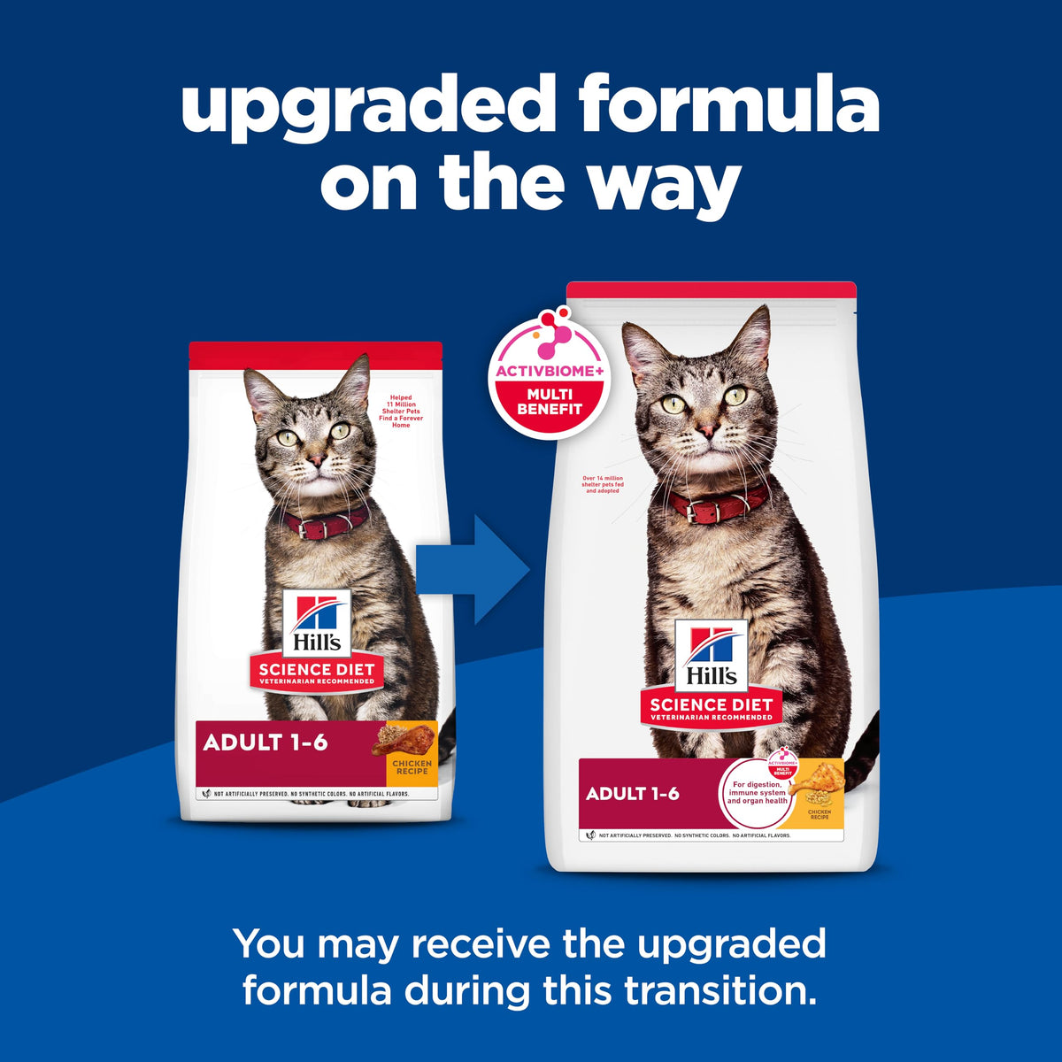 Adult 1 6 Dry Cat Food (16 Pound (Pack of 1))