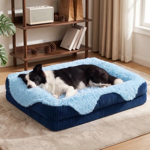 Orthopedic Dog Bed for Medium Sized Dog (Blue / 35"L x 25"W x 6.5"T)